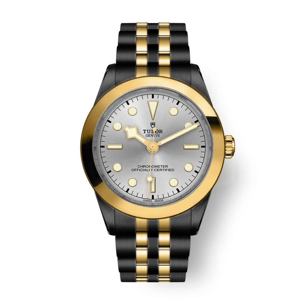 Black Tudor DLC-PVD Black Bay 39 S&G | Two-Tone Black DLC-PVD Stainless Steel and Yellow Gold bracelet | Silver Dial | Men's Watch ref. M79663-0002-pvd