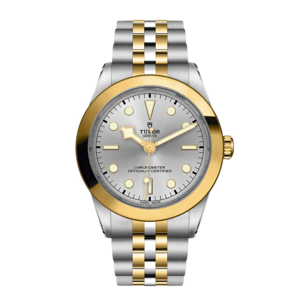 Tudor Black Bay 39 S&G | Steel and yellow gold bracelet | Silver Dial | Men's Watch ref. M79663-0002