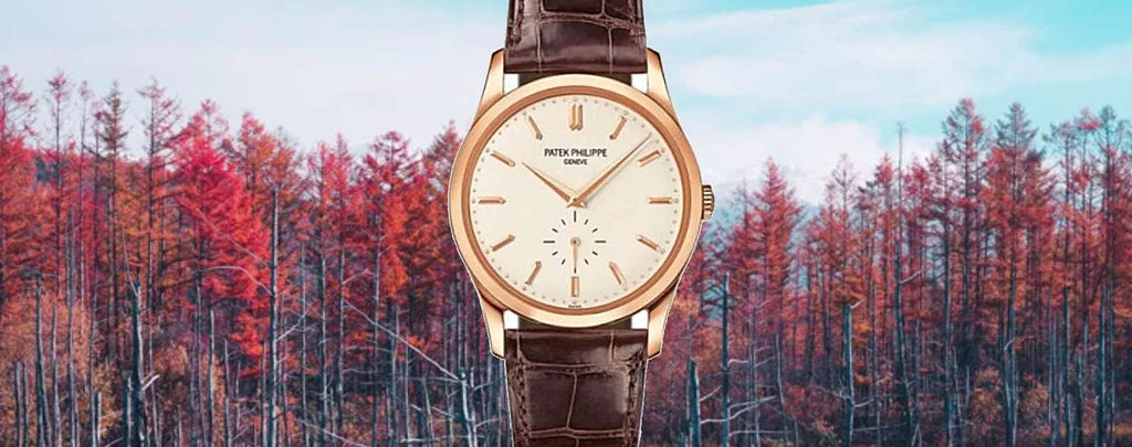 Patek Philippe Calatrava Watches for Men for Sale by Diamond Source NYC