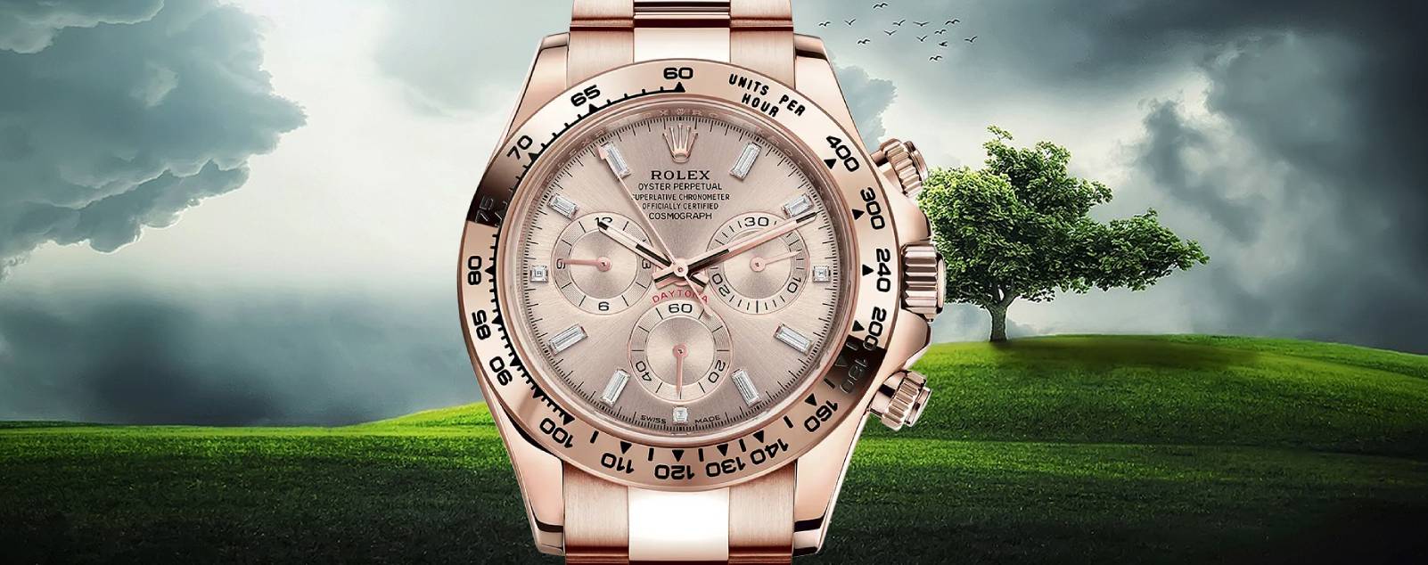 Rolex 116505 | Daytona, A Symbol of Prestige and Luxury