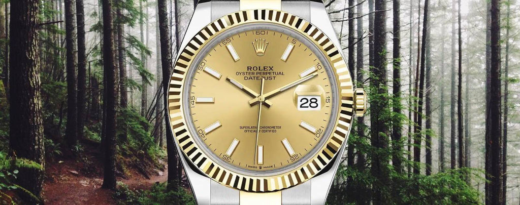 Genuine Rolex Datejust Champagne Dial Watches for Sale by Diamond Source NYC