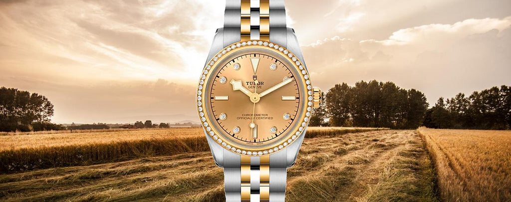 Genuine Tudor Black Bay 31 S&amp;G Watches for Sale by diamondsourcenyc.com