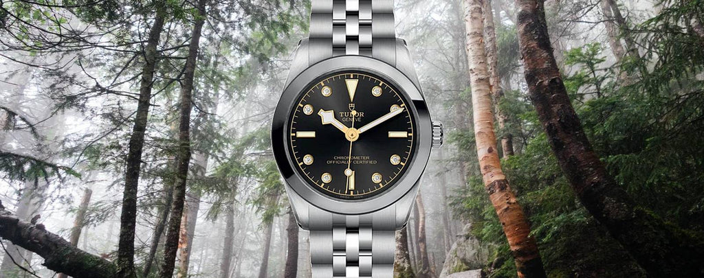 Genuine Tudor Black Bay 31 Watches for Sale by Diamondsourcenyc.com