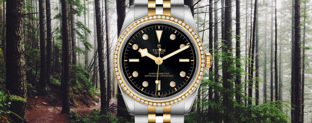 Genuine Tudor Black Bay 36 S&G Watches for Sale by Diamond Source NYC