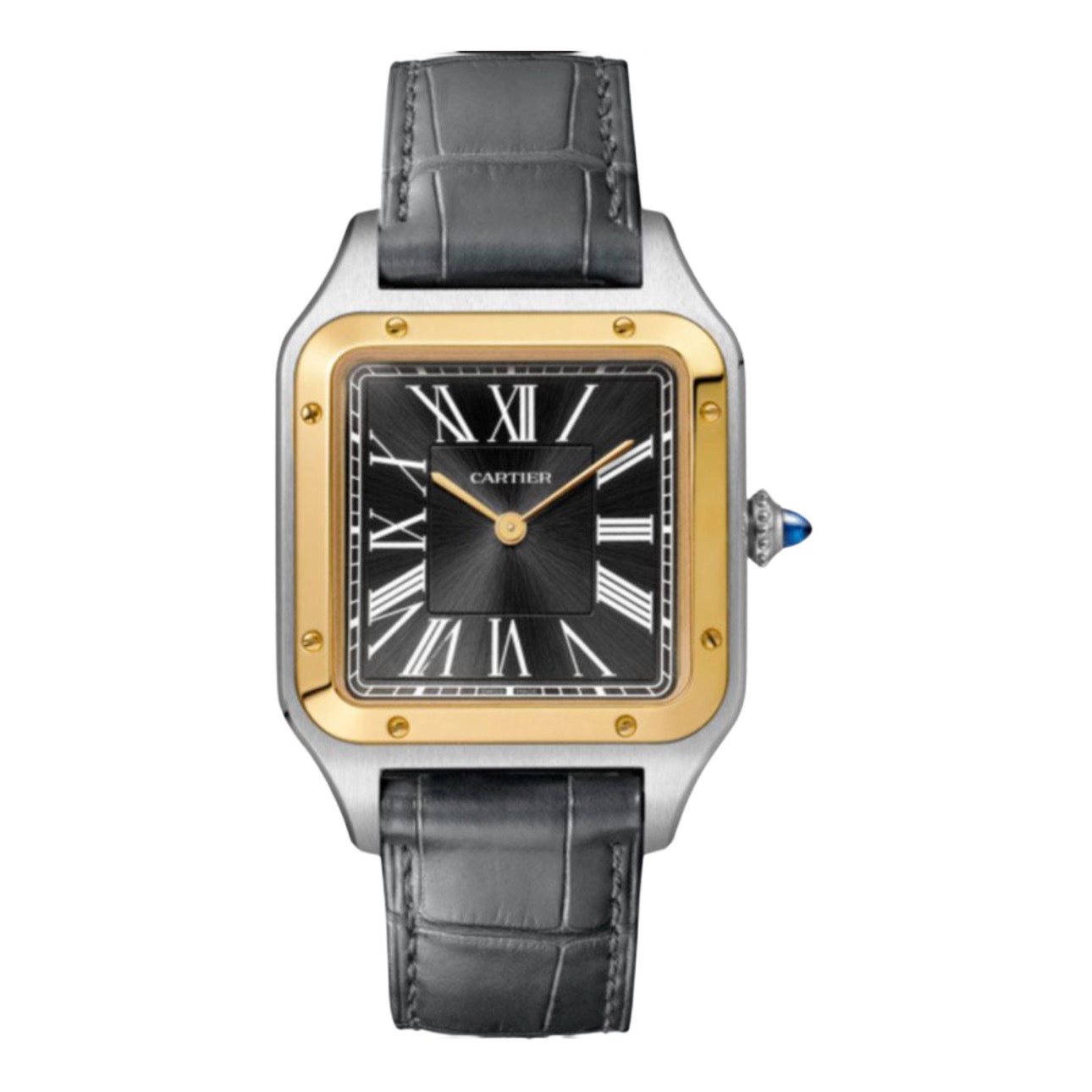 Cartier Santos Dumont 43.5mm Watch W2SA0015