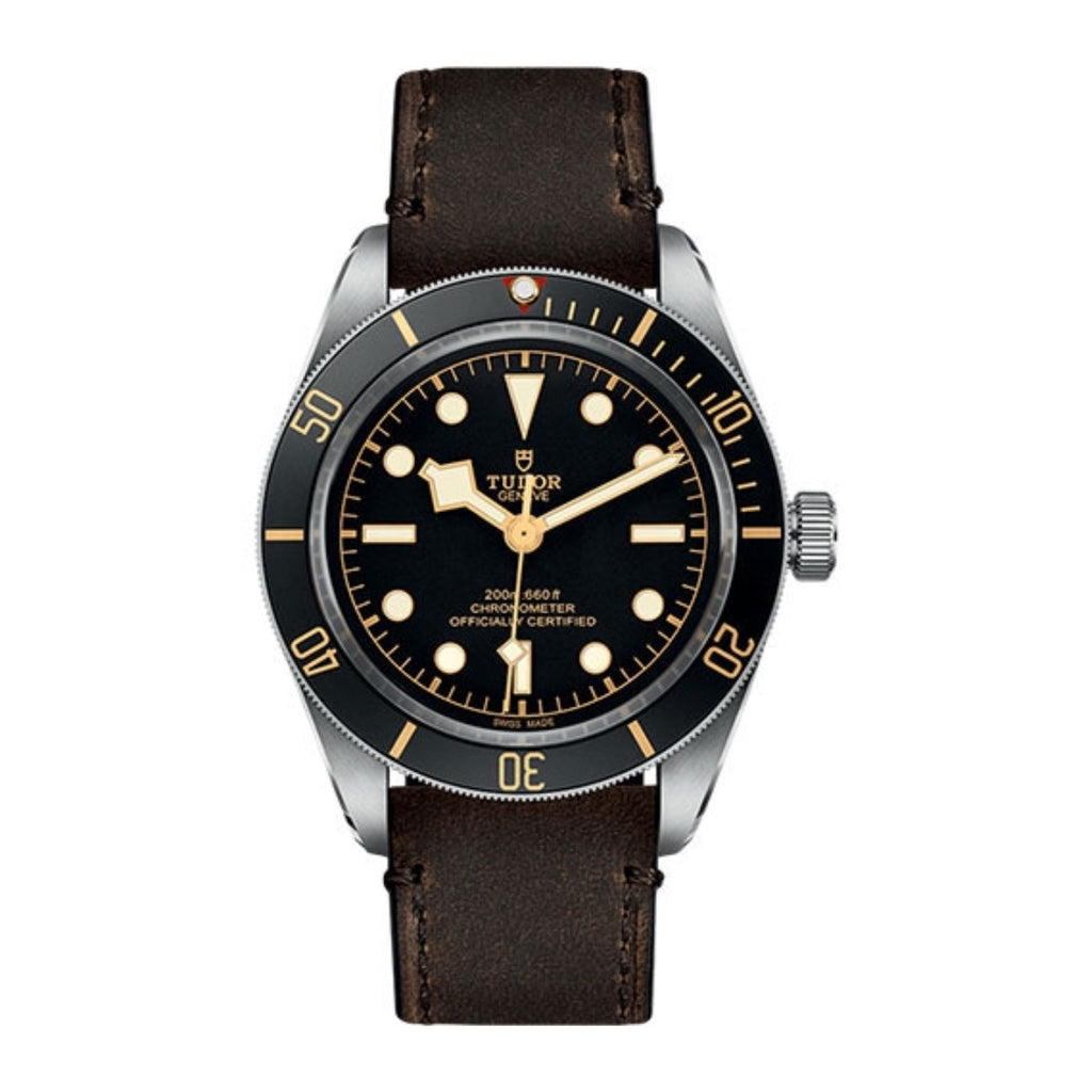 Tudor Black Bay 39mm | brown Leather Strap | black domed Dial | Men's Watch ref. M79030N-0002